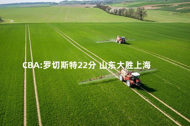 CBA:罗切斯特22分 山东大胜上海